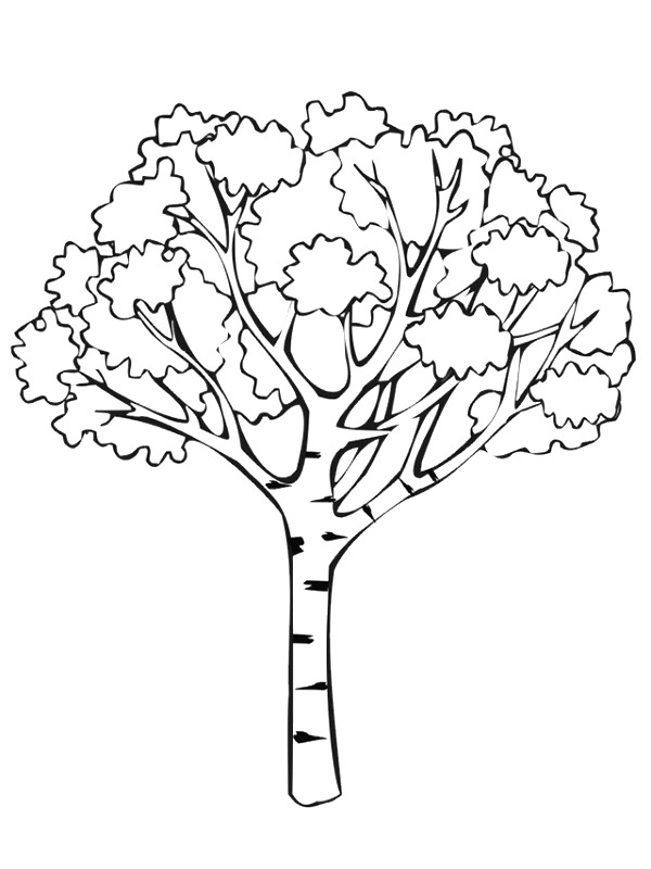 Plansa de colorat cu Toamna 57 134